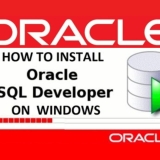 sql developer