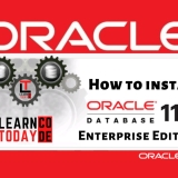 oracle 11g R2