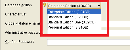 Oracle 11g R2 installation step 4 database edition